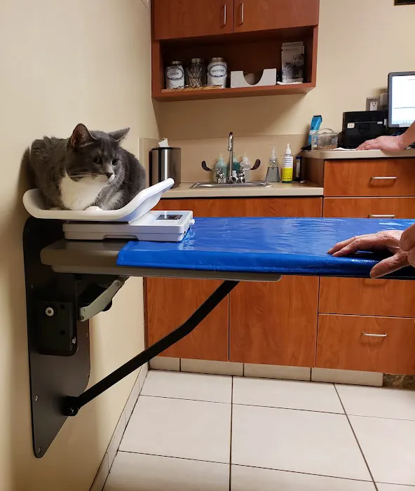 Amesbury Animal Hospital Picture 6