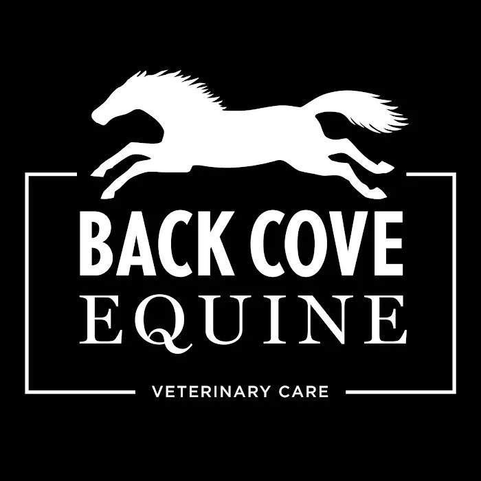 Back Cove Equine Veterinary Care Picture 3