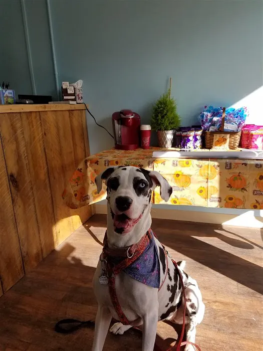 Brackett West Veterinary Clinic Picture 4