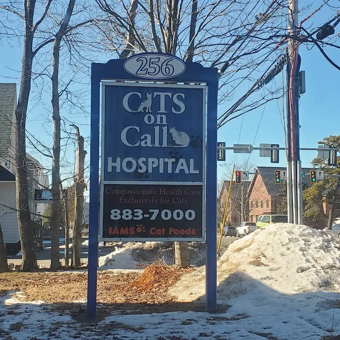 Cats On Call Hospital Inc Picture 3