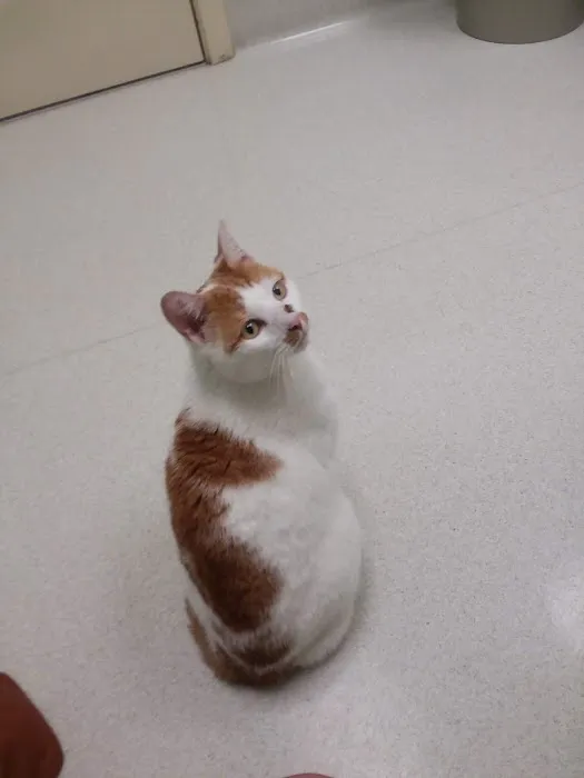 South Portland Veterinary Hospital Picture 1