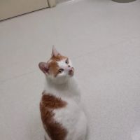 South Portland Veterinary Hospital ico