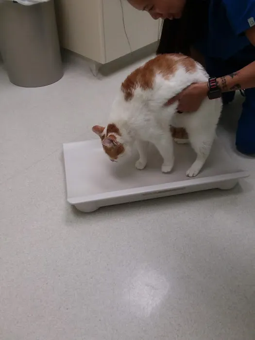 South Portland Veterinary Hospital Picture 5