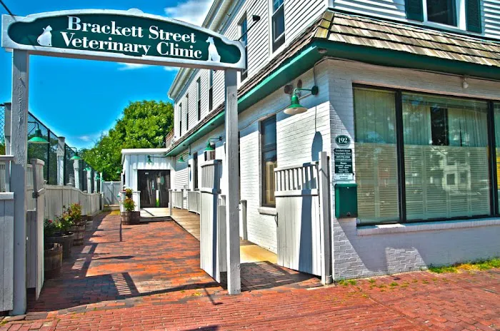 Brackett Street Veterinary Clinic Picture 3
