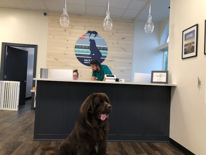 Back Cove Animal Hospital Picture 5