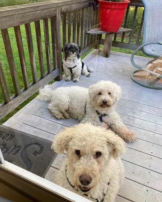 Back Cove Animal Hospital Picture 8