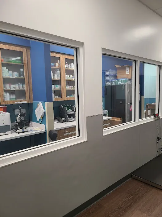 Work PetMedic Urgent Care Vet Clinic - Freeport Picture 8