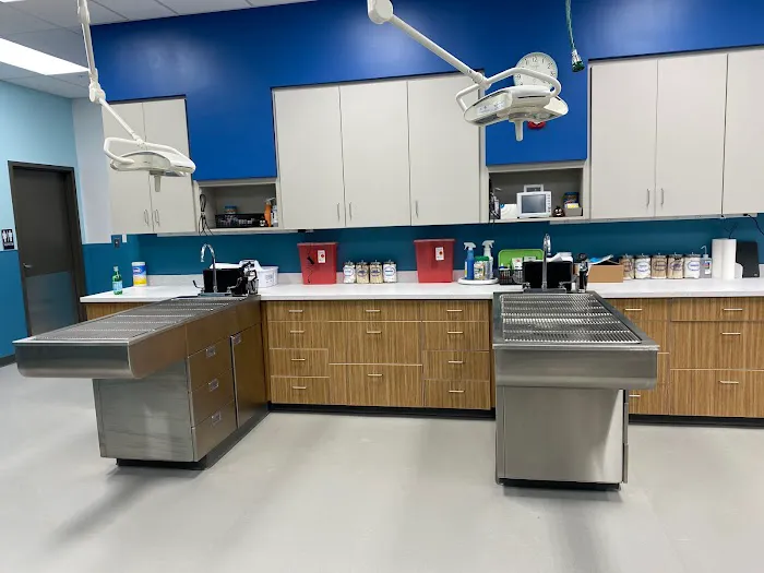 Work PetMedic Urgent Care Vet Clinic - Freeport Picture 10