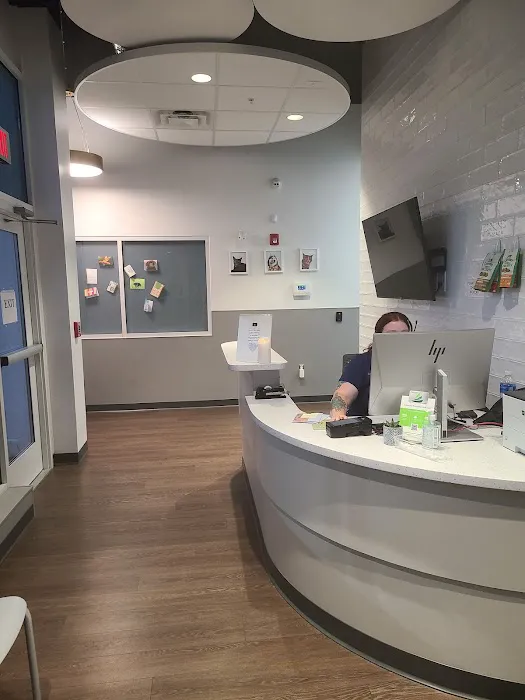 Work PetMedic Urgent Care Vet Clinic - Freeport Picture 5