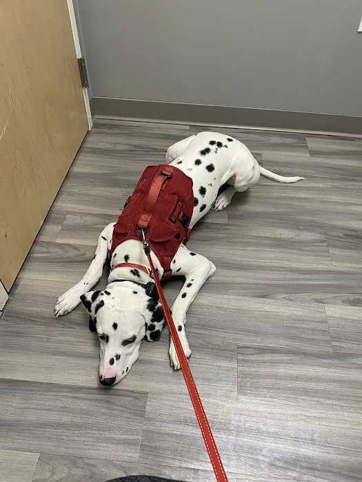 Portland PetMedic Urgent Care Vet Clinic Picture 3