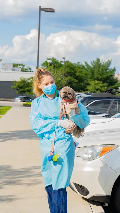 Portland PetMedic Urgent Care Vet Clinic Picture 8