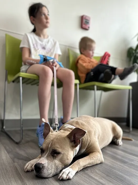 Portland PetMedic Urgent Care Vet Clinic Picture 10