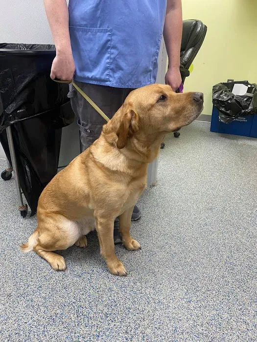 Annabessacook Veterinary Clinic Picture 6