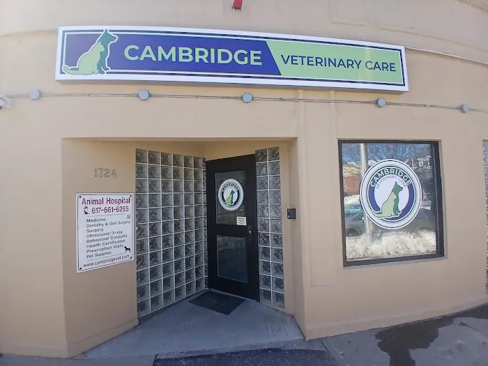 Cambridge Veterinary Care Picture 5