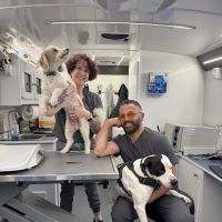 Tandem Veterinary Clinic - Somerville ico