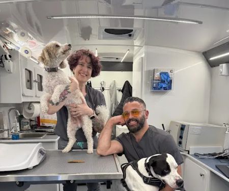 Tandem Veterinary Clinic - Somerville