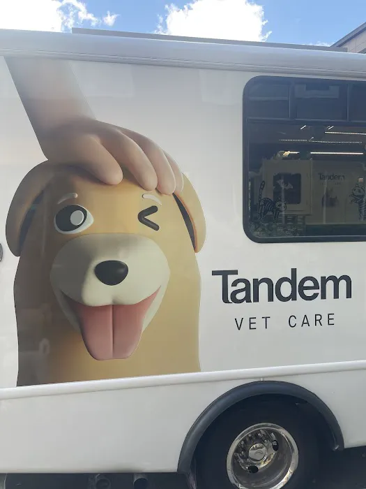 Tandem Veterinary Clinic - Somerville Picture 4