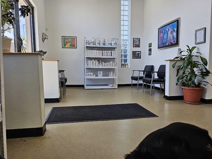 Porter Square Veterinarian Picture 4