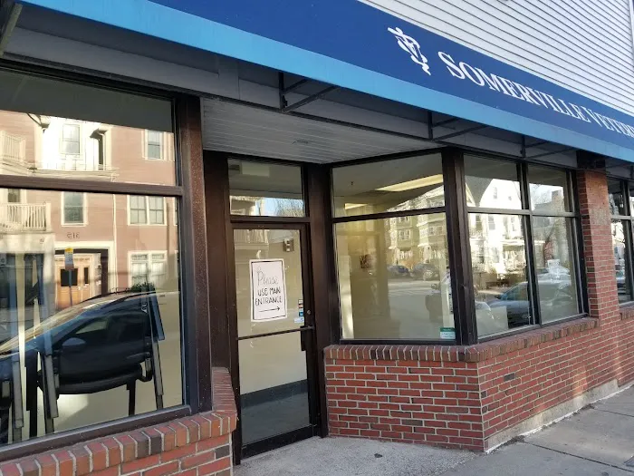 Somerville Veterinary Center Picture 3