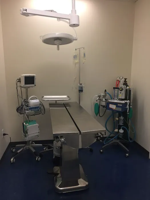 Somerville Veterinary Center Picture 2