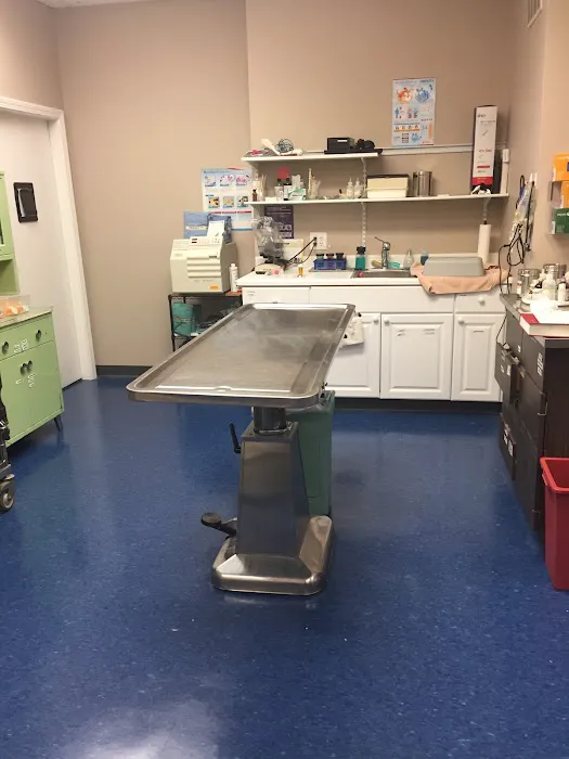 Somerville Veterinary Center Picture 5