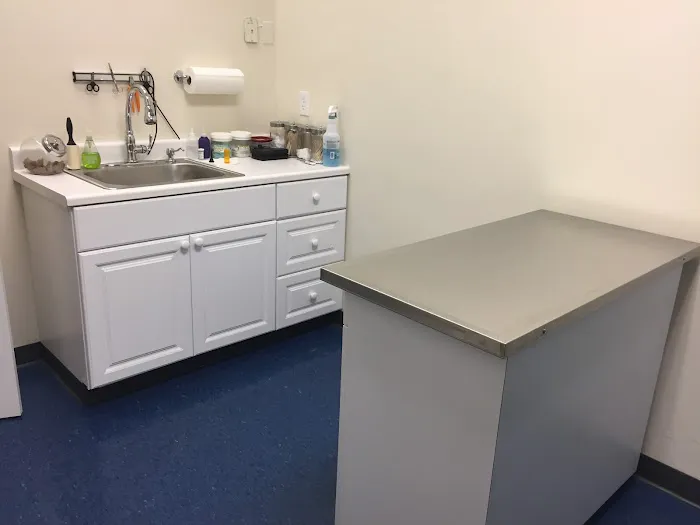 Somerville Veterinary Center Picture 4