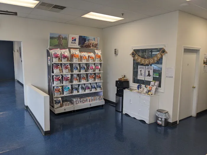 Somerville Veterinary Center Picture 6