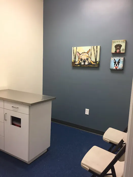 Somerville Veterinary Center Picture 9