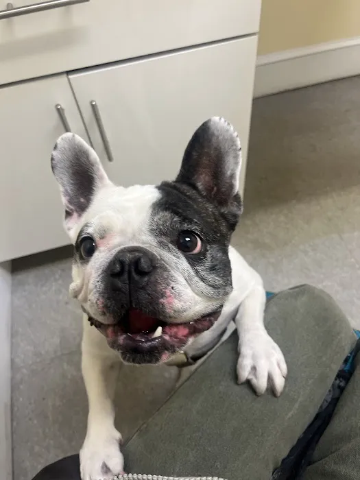 Huron Veterinary Hospital Picture 1