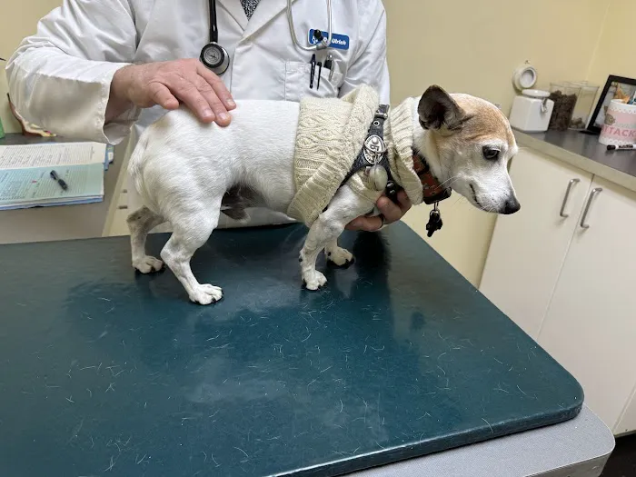 Huron Veterinary Hospital Picture 4