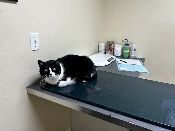 Huron Veterinary Hospital Picture 6