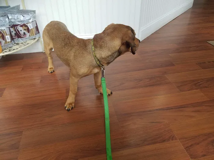 Huron Veterinary Hospital Picture 9