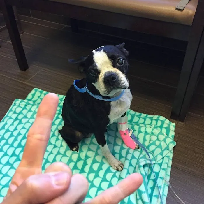 Huron Veterinary Hospital Picture 8