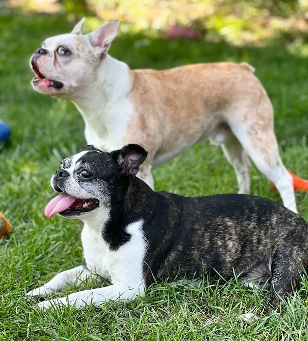 BluePearl Pet Hospital Picture 10