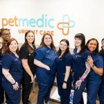 PetMedic Urgent Care Vet Clinic - Cambridge