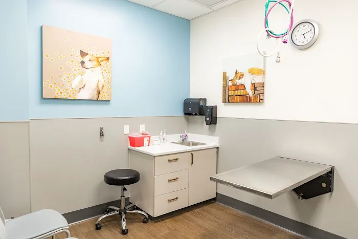 PetMedic Urgent Care Vet Clinic - Cambridge Picture 8
