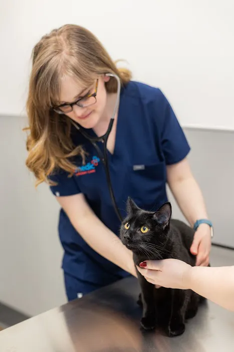 PetMedic Urgent Care Vet Clinic - Cambridge Picture 9