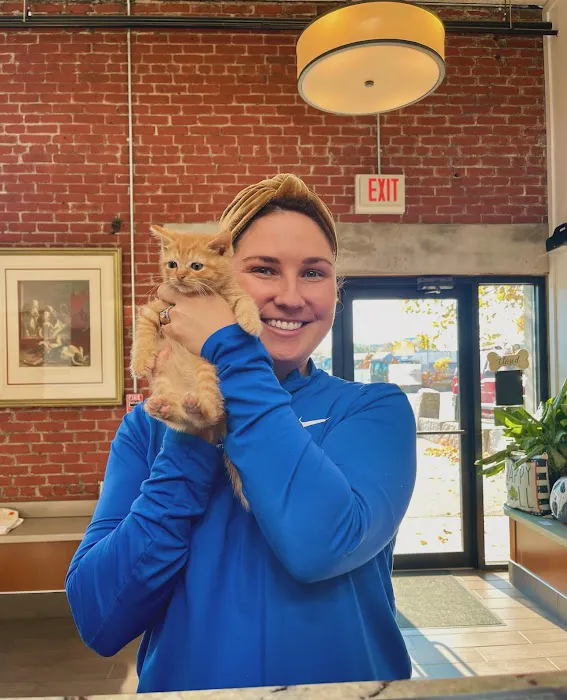 Charlestown Veterinary Hospital Picture 9