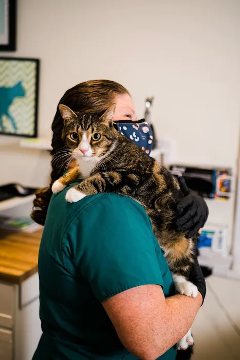 Winter Hill Veterinary Clinic Picture 8