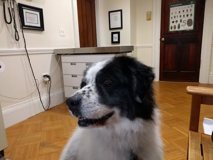 Winter Hill Veterinary Clinic Picture 10