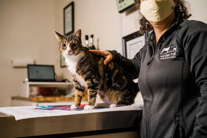 Winter Hill Veterinary Clinic Picture 5