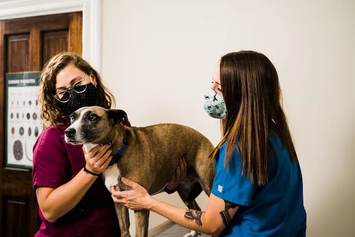 Winter Hill Veterinary Clinic Picture 6