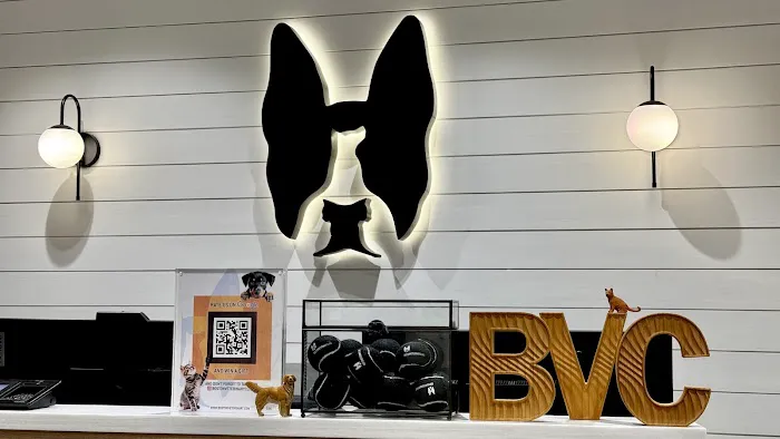 Boston Veterinary Clinic Picture 5