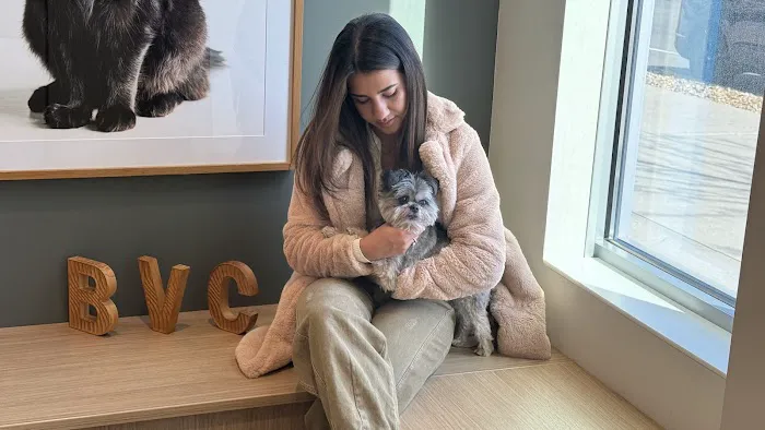 Boston Veterinary Clinic Picture 7