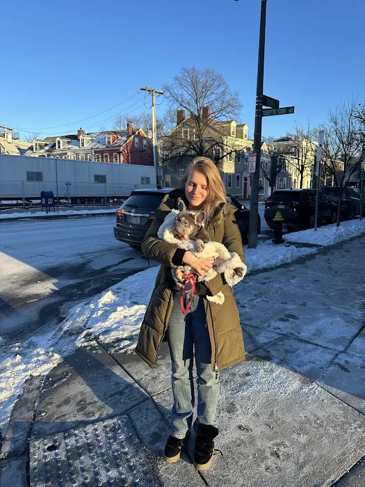 Charlestown Pet Clinic Picture 1