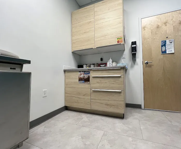 The Pet's Vet North End Picture 7