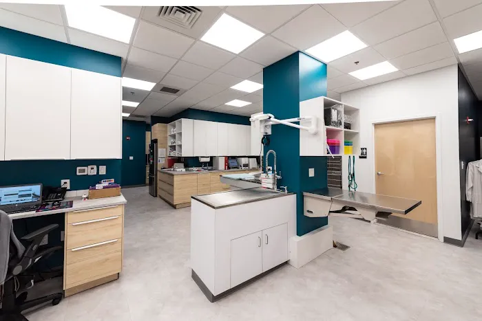 The Pet's Vet North End Picture 5