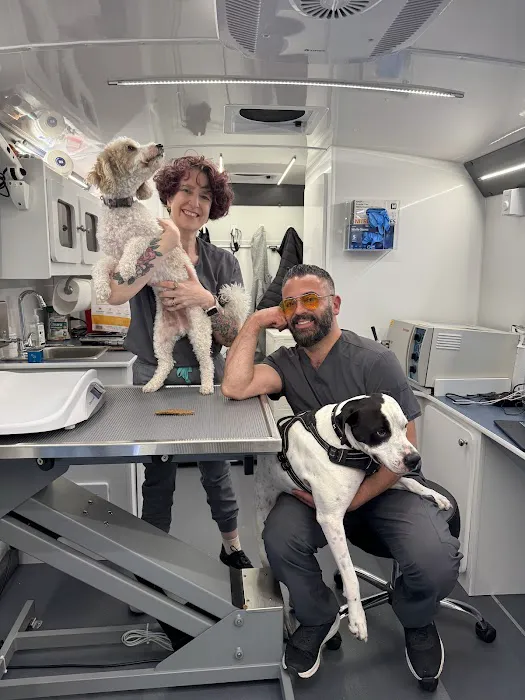 Tandem East Boston, Quincy Onsite Veterinary Picture 1