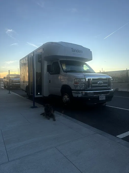 Tandem East Boston, Quincy Onsite Veterinary Picture 4