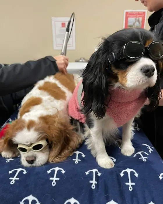 Boston Animal Hospital North Station Picture 2